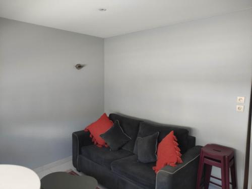 ein Wohnzimmer mit einem grauen Sofa und roten Kissen in der Unterkunft APPARTEMENT NANCY THERMAL/ARTEM/PARC STE MARIE Le 61 LES THERMES in Nancy