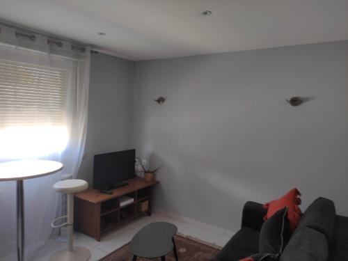 un salon avec un canapé et une télévision dans l'établissement APPARTEMENT NANCY THERMAL/ARTEM/PARC STE MARIE Le 61 LES THERMES, à Nancy