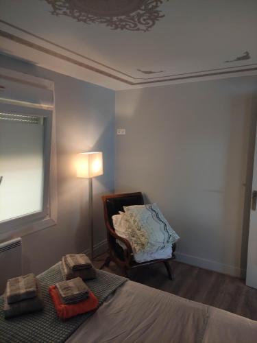 ein Schlafzimmer mit einem Bett, einem Stuhl und einer Lampe in der Unterkunft APPARTEMENT NANCY THERMAL/ARTEM/PARC STE MARIE Le 61 LES THERMES in Nancy