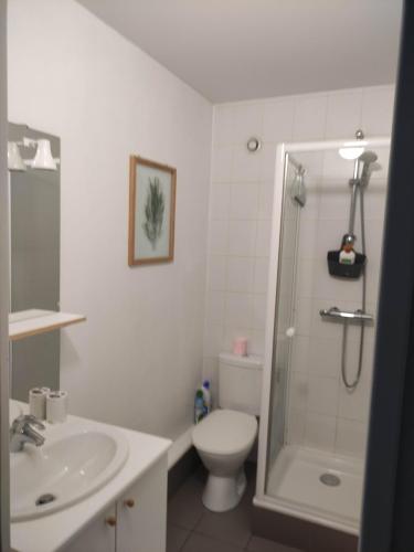 une salle de bain avec une douche, des toilettes et un lavabo dans l'établissement APPARTEMENT NANCY THERMAL/ARTEM/PARC STE MARIE Le 61 LES THERMES, à Nancy