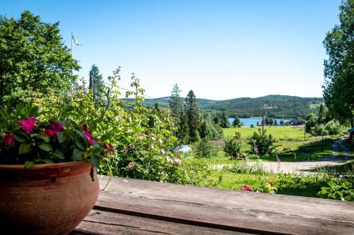 a potted plant sitting on a wooden bench with a view at Bakgården i Revsund in Gällö