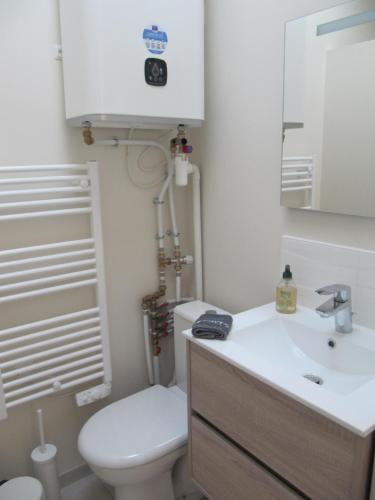 La salle de bains est pourvue de toilettes, d'un lavabo et d'un miroir. dans l'établissement Venez vous ressourcer sur les falaises de Meschers, à Meschers-sur-Gironde