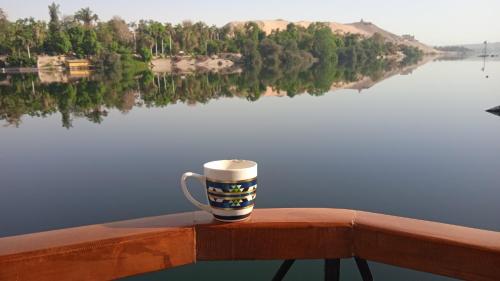 a coffee cup sitting on the edge of a railing overlooking a lake at Houseboat Hotel and Nile Cruises Zainoba in Nag` el-Ramla