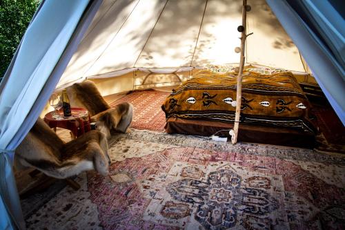 a room with a bed and a rug in a tent at Bakgården i Revsund in Gällö