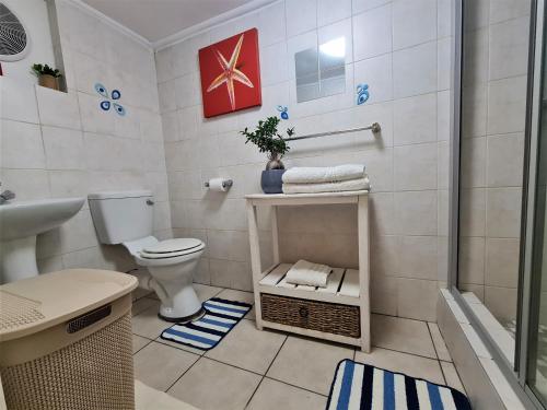 y baño con aseo, lavabo y ducha. en Walters Lane Economy Apartment 1 - No Loadshedding en Ciudad del Cabo