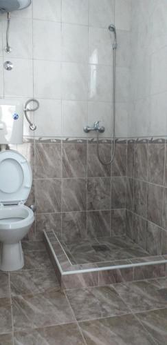 a bathroom with a shower and a toilet at Apartmani Jacimovic in Čanj