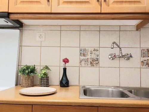 encimera de cocina con fregadero y fregadero en Lovely equipped apartment in Kallithea Athens, en Atenas