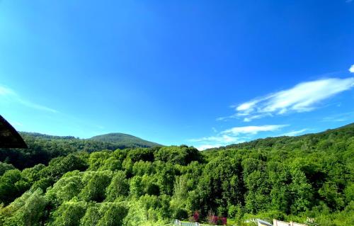 a view of a lush green valley with trees at Cottage Wellwood in Sinyak