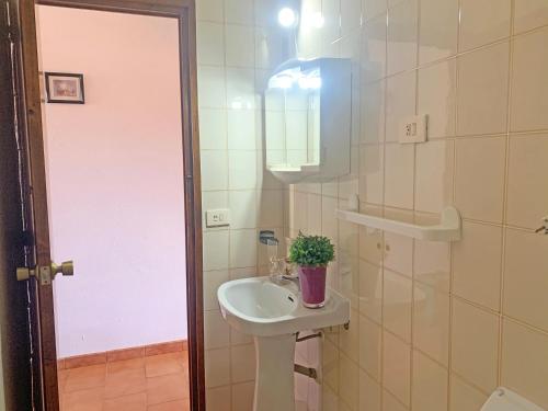 baño con lavabo y maceta. en Apartamentos Mar de Peñíscola Casablanca 3000, en Peñíscola
