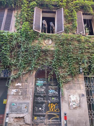 Φωτογραφία από το άλμπουμ του La Fenice MONTI στη Ρώμη