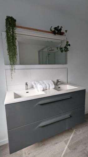 une salle de bain avec un lavabo et un miroir dans l'établissement Les Appartements de Viarmes et de Guernisac, à Morlaix