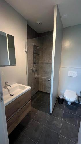 a bathroom with a shower and a sink and a toilet at Watervilla it Beaken in Heeg
