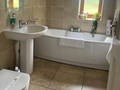 Koupelna v ubytování Kingfisher Lodge, South View Lodges, Exeter