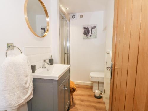 a bathroom with a sink and a mirror and a toilet at Primrose Cottage in Mold