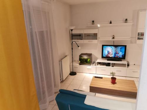 ein Wohnzimmer mit einem blauen Sofa und einem TV in der Unterkunft Appart T1bis Malbosc in Montpellier