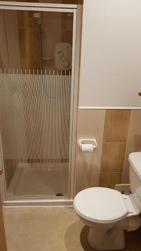 a bathroom with a shower with a toilet and a sink at Clachaig Inn in Ballachulish