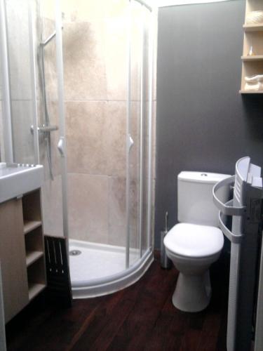 une salle de bain avec une douche, des toilettes et un lavabo dans l'établissement La Ginente Appartement, à Argilliers