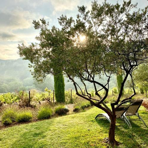 un banc assis sous un arbre dans un champ dans l'établissement Chambres & Table d'Hôtes Au Soleil du Bonheur, à Lafare