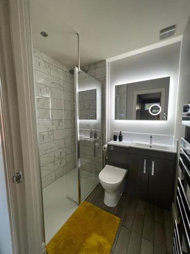 a bathroom with a toilet and a sink and a shower at The Annexe, Farnborough in Farnborough