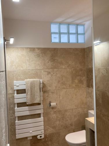 uma casa de banho com um chuveiro, um WC e uma janela. em Cabanon Ecurie Maestoso em Lançon-Provence
