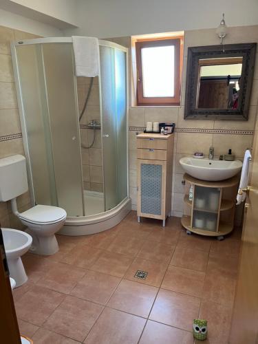 La salle de bains est pourvue de toilettes, d'un lavabo et d'une douche. dans l'établissement Holiday house Green Dream, à Obrovac