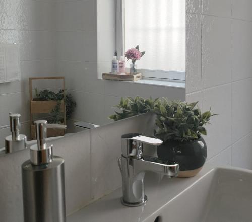 a bathroom sink with a mirror and a potted plant at La Mansión del Toledano in Granada