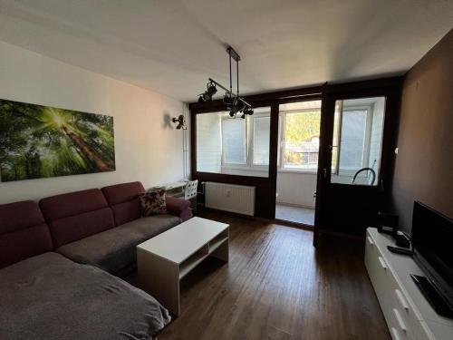 克拉尼斯卡戈拉APARTMA CARPE DIEM的客厅里有一张沙发和一张桌子。