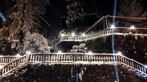 Billede fra billedgalleriet på Zümrüdüanka Otel i Rize