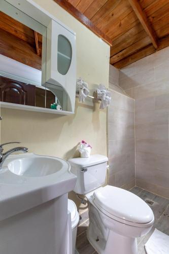 a bathroom with a white toilet and a sink at Hotel Turístico Marian in Las Terrenas
