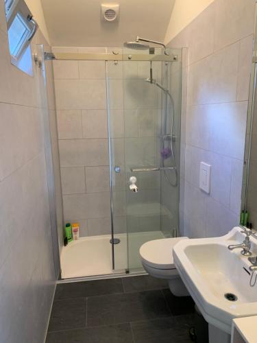 a bathroom with a shower and a toilet and a sink at Petite maison Conjat in Saint-Julien-le-Petit