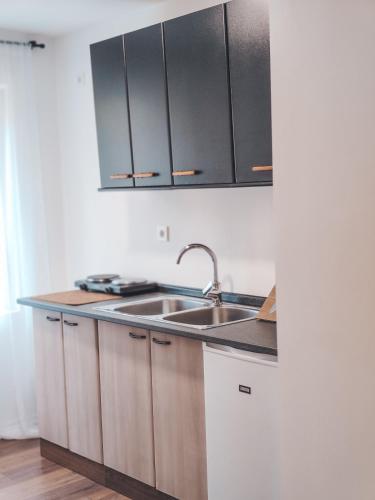 Kuchyň nebo kuchyňský kout v ubytování Villa-Apartments Bognar