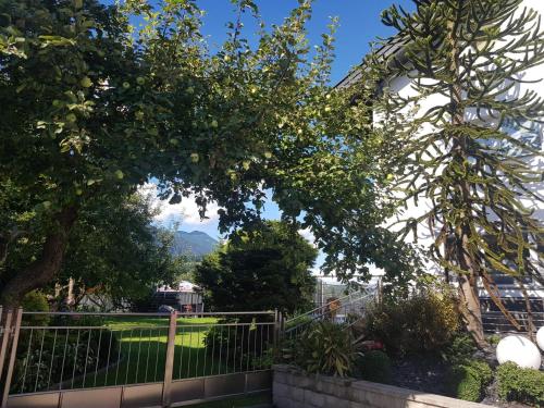 a view of a garden with a fence and trees at Pension Ferienwohnung Pirhofer in Kramsach