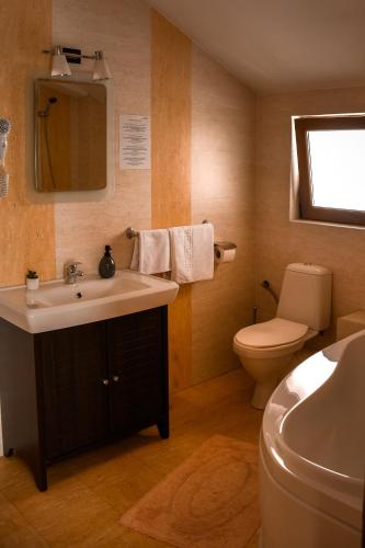 a bathroom with a sink and a toilet and a mirror at Pensiunea Clasic Hunedoara in Peştişu Mare