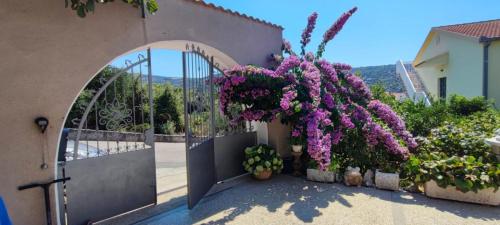 Apartments Racetin – Photos 2