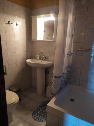 a bathroom with a sink and a shower and a toilet at Double studio room in front of the sea in Tsagarada