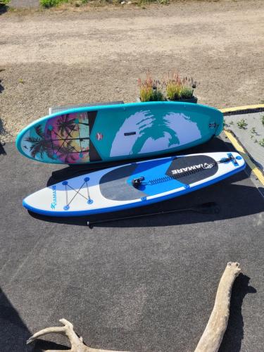 un par de tablas de surf sentadas en el suelo en Hausboot auf der Mosel, en Pölich