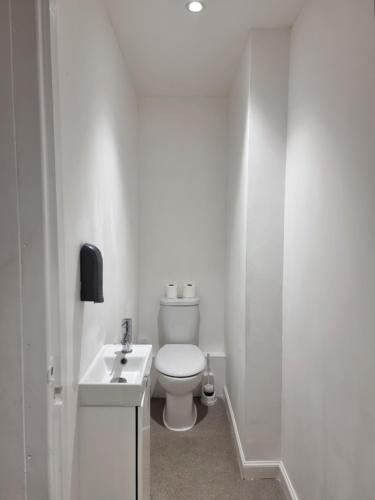 a white bathroom with a toilet and a sink at Park View House in Edinburgh