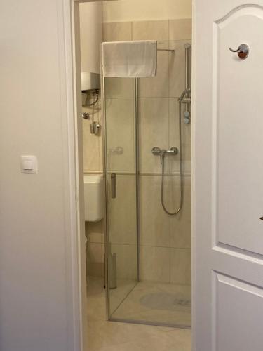 a shower with a glass door in a bathroom at Gyöngyike Vendégház - Szakály in Szakály