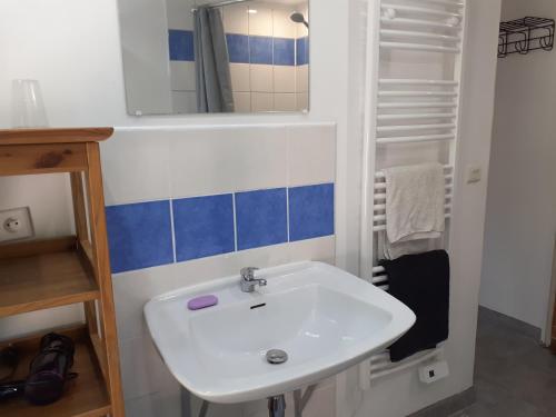 a bathroom with a white sink and a mirror at Le Studio du Crot Noir in Cussy-en-Morvan