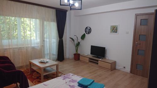 un salon avec un canapé et une télévision dans l'établissement Gamma Group Sud, à Bucarest