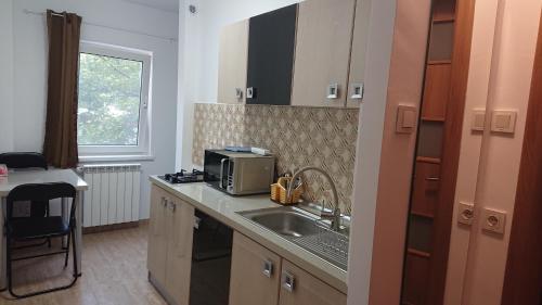 une cuisine avec un évier et un micro-ondes dans l'établissement Gamma Group Sud, à Bucarest