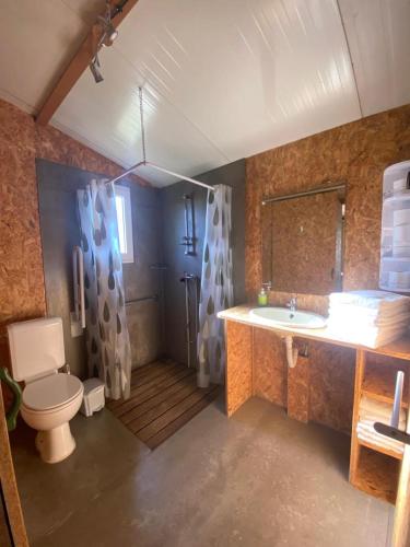 a bathroom with a toilet and a shower and a sink at Coimbra Camping & Bungalows in Coimbra