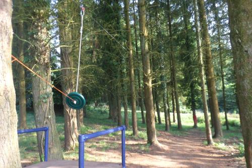a tire tied to a tree in a forest at Bonne Chere Family Friendly Gites * Heated Pool * Huge Playbarn in Pontivy