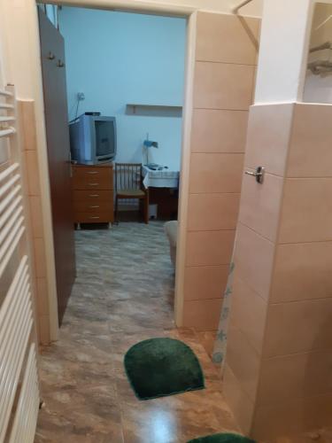 a hallway with a door and a green rug in a room at Apartman YVET in Sučany