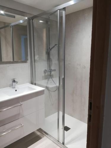 une salle de bain avec douche et lavabo dans l'établissement Chalet La Plagne Montalbert Pied des Pistes, à Aime La Plagne