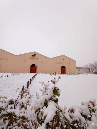 Posada La Celia v zimě