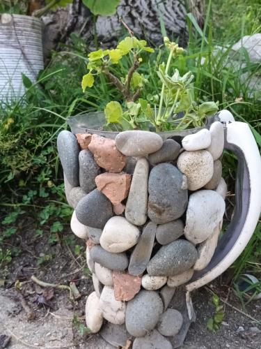 a vase filled with rocks and a plant at Magdan house in Tskaltubo