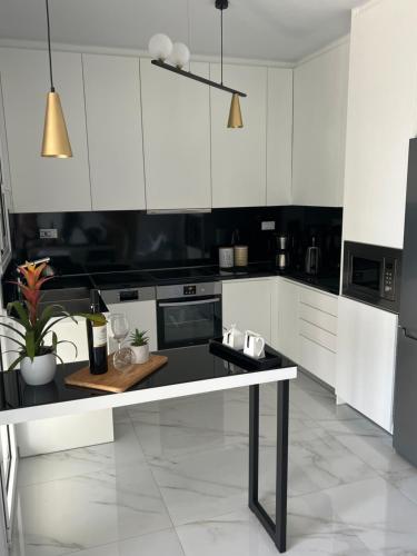 A kitchen or kitchenette at Longbeachvillas 2 Thesia beachfront villa