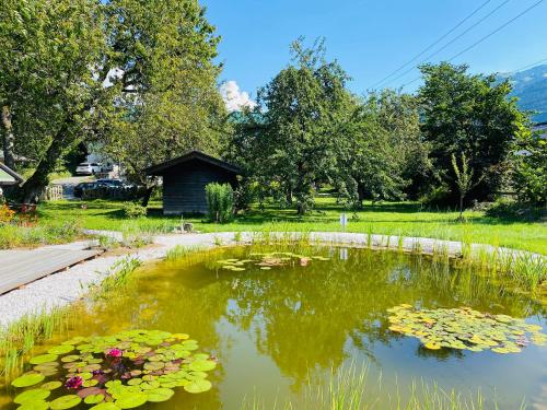 einen Teich voller Lilien im Hof in der Unterkunft Pension Rainhof in Kitzbühel