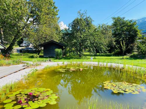 a pond filled with lilies in a yard at Pension Rainhof in Kitzbühel